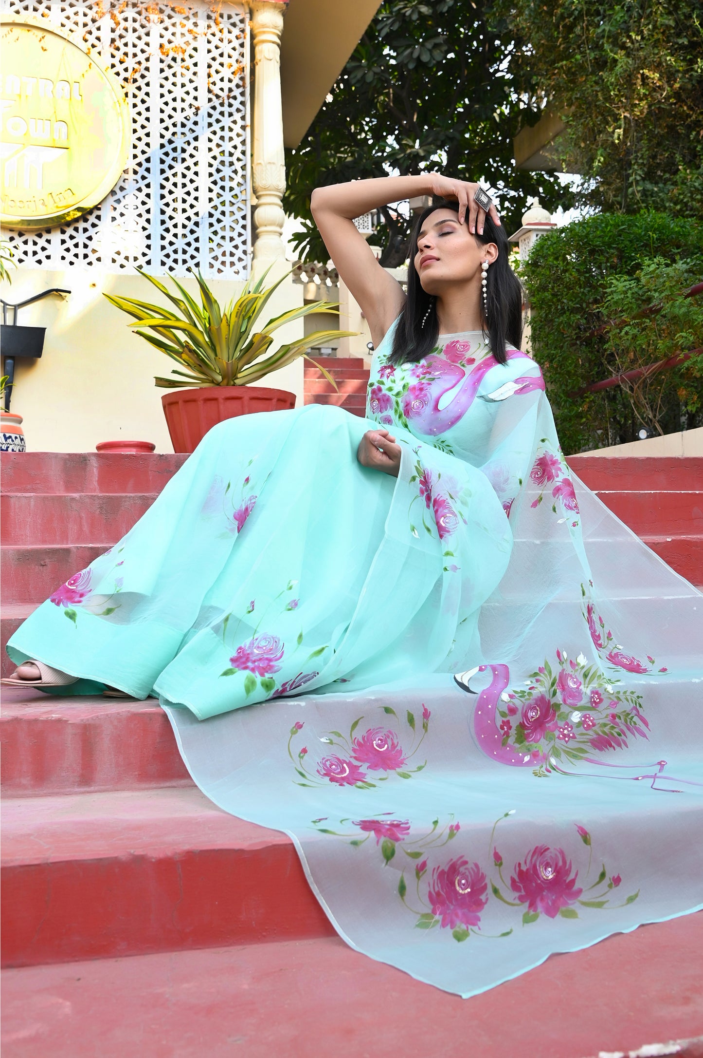 Flamingo Grace Saree